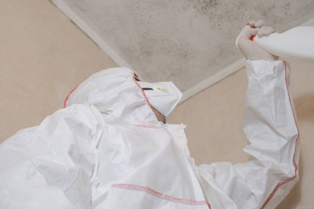 Best Biohazard Mold Removal  in Groesbeck, OH